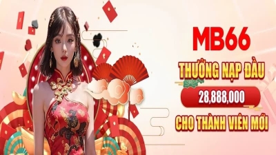 MB66 – Thương hiệu nhà cái cá cược bóng đá uy tín